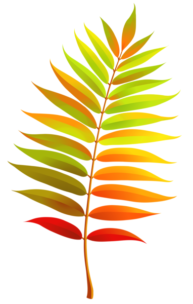 This png image - Colorful Transparent Fall Leaf Clipart, is available for free download