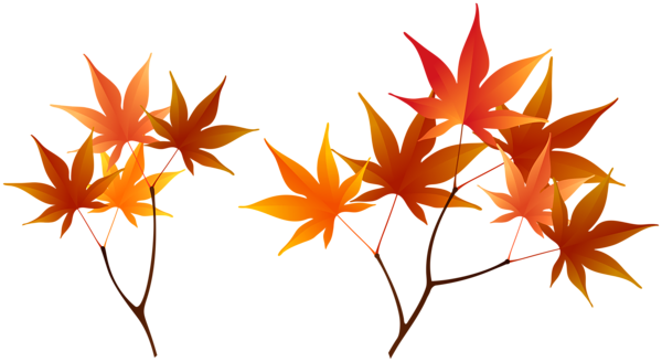 This png image - Fall Branches PNG Clip Art Image, is available for free download