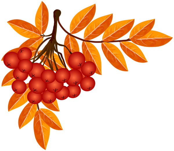 This png image - Fall Decoration PNG Clip Art Image, is available for free download