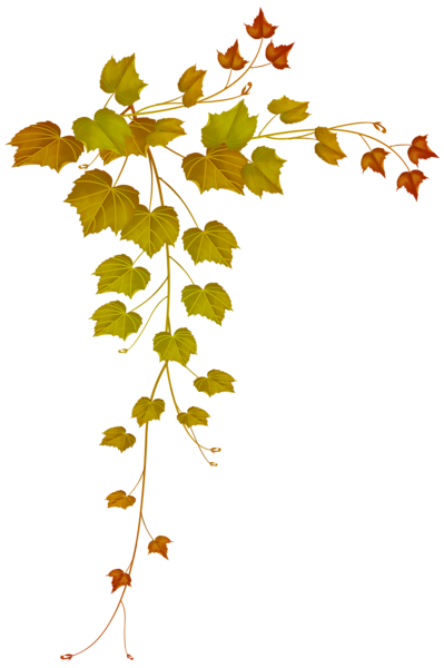 This png image - Fall Decorative Leaves PNG Image, is available for free download