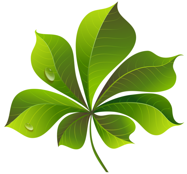 This png image - Fall Green Leaf PNG Clipart Image, is available for free download