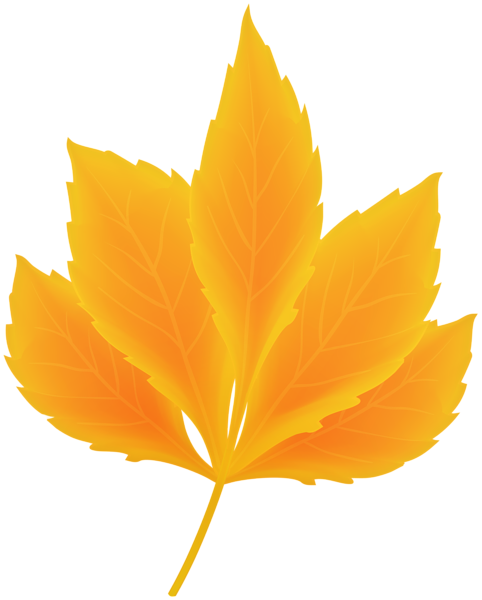 This png image - Fall Leaf Yellow Transparent PNG Clipart, is available for free download