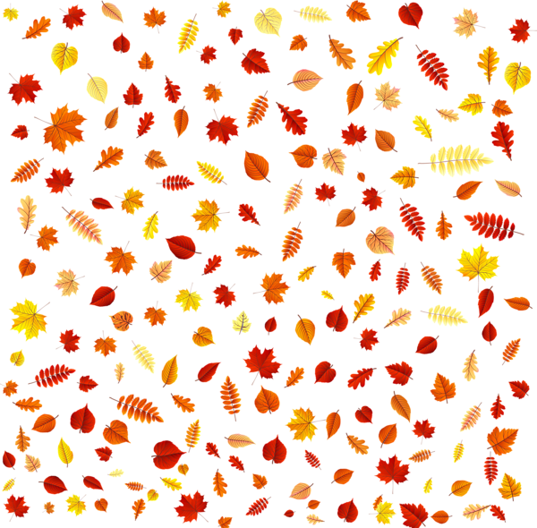 This png image - Fall Leaves Overlay Transparent PNG Clip Art, is available for free download