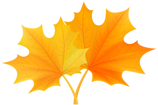 This png image - Fall Leaves PNG Clip Art, is available for free download