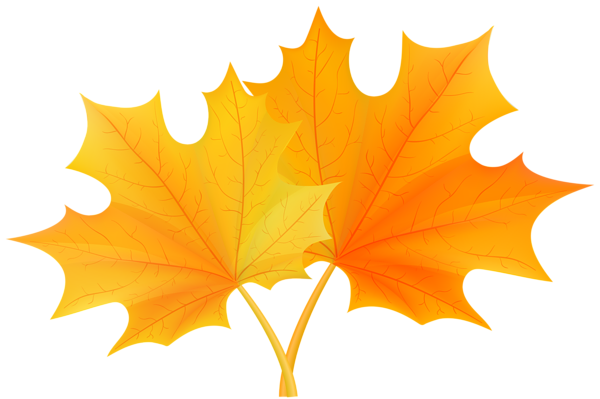 Fall Leaves PNG Clip Art | Gallery Yopriceville - High-Quality Free