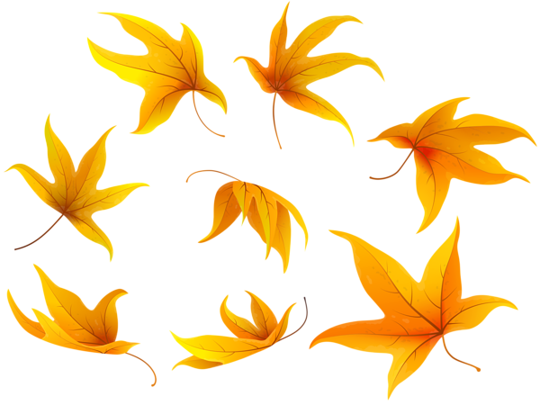 Fall Leaves PNG Clip Art Image | Gallery Yopriceville - High-Quality