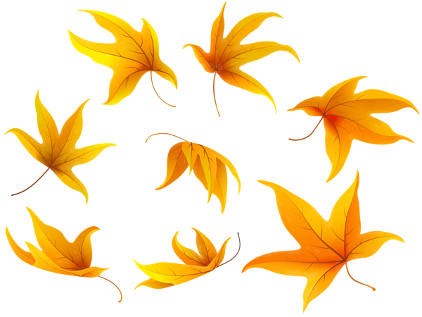 This png image - Fall Leaves PNG Clip Art Image, is available for free download