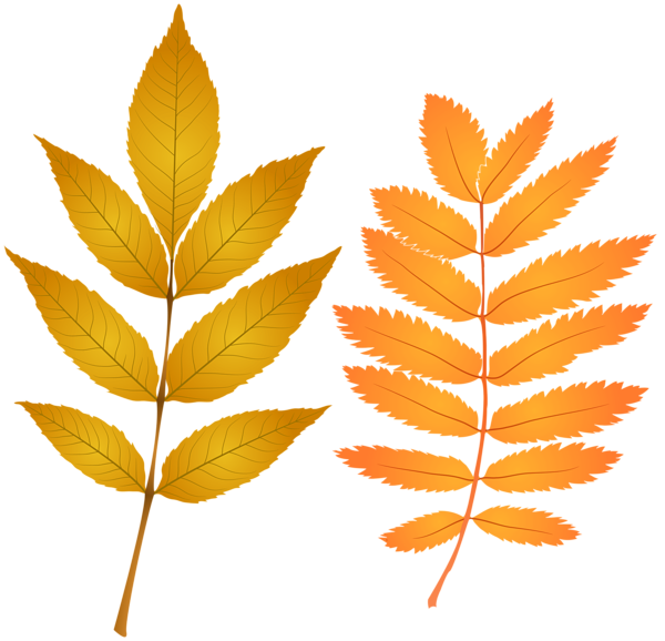 This png image - Fall Leaves PNG Clip Art Image, is available for free download