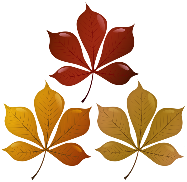 This png image - Fall Leaves PNG Clipart, is available for free download