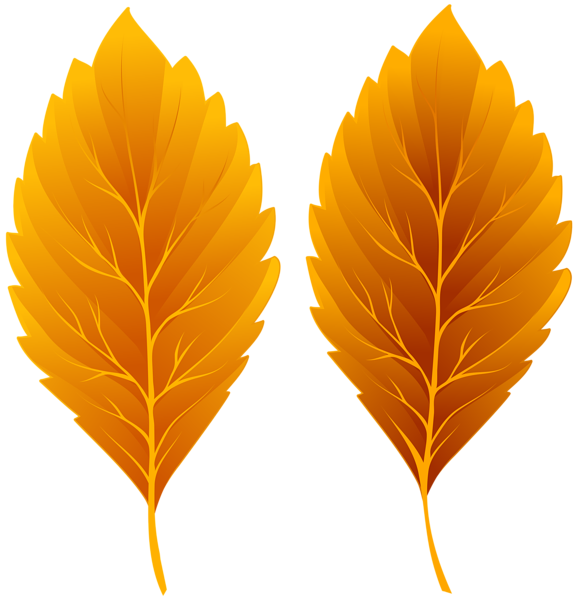 This png image - Fall Leaves PNG Clipart Image, is available for free download
