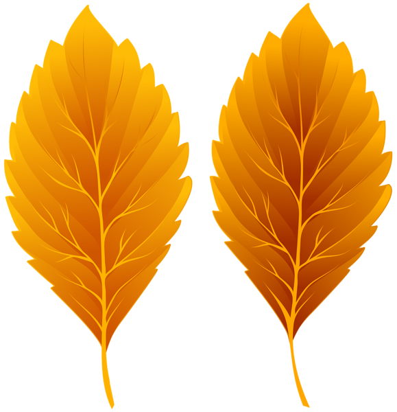 Fall Leaves PNG Clipart Image | Gallery Yopriceville - High-Quality