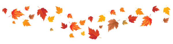 This png image - Fall Leaves PNG Image, is available for free download