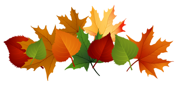 This png image - Fall Leaves PNG Picture, is available for free download