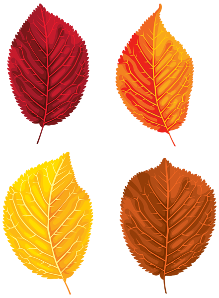 This png image - Fall Leaves Set Clipart PNG Image, is available for free download