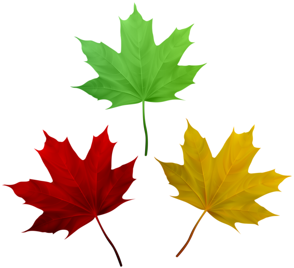 This png image - Fall Leaves Set PNG Clip Art Image, is available for free download