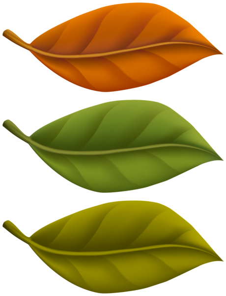 This png image - Fall Leaves Set PNG Clipart, is available for free download