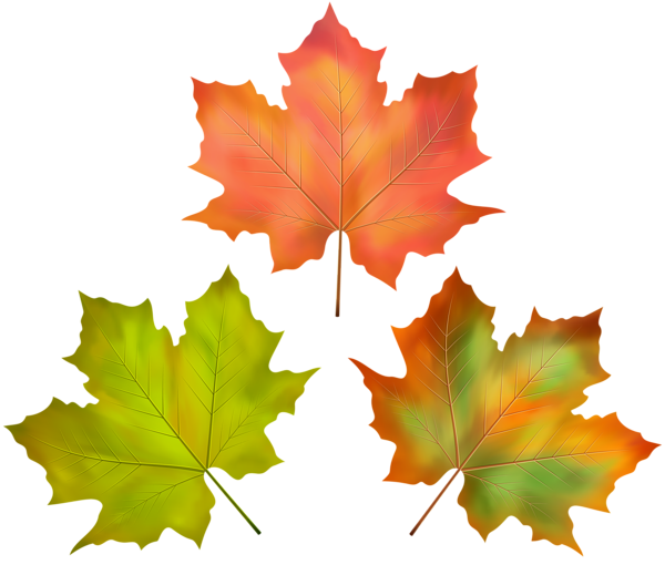 This png image - Fall Leaves Set PNG Clipart Image, is available for free download