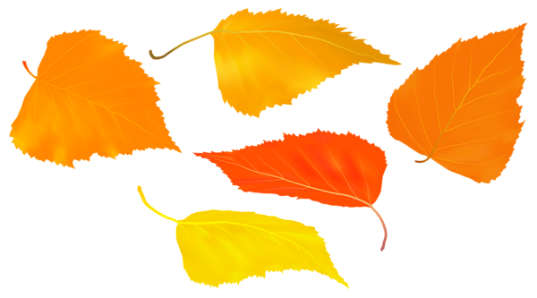This png image - Fall Leaves Set PNG Transparent Clipart, is available for free download