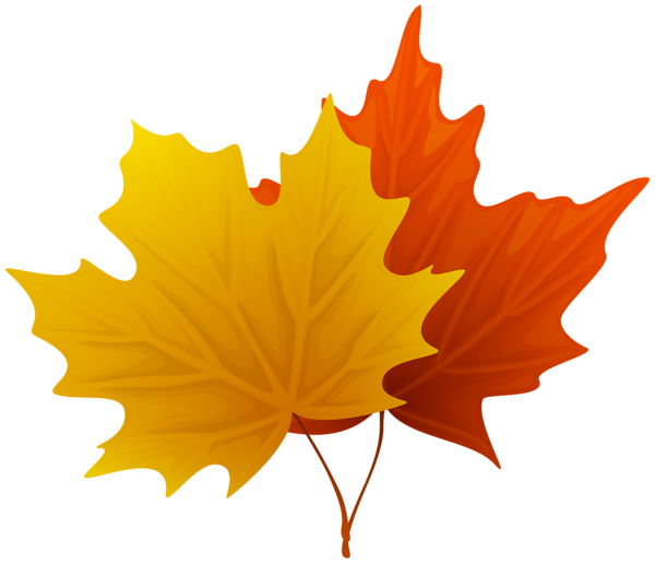 Fall maple leaves png decorative clipart image gallery yopriceville