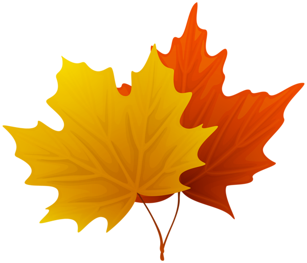 This png image - Fall Maple Leaves PNG Decorative Clipart Image, is available for free download