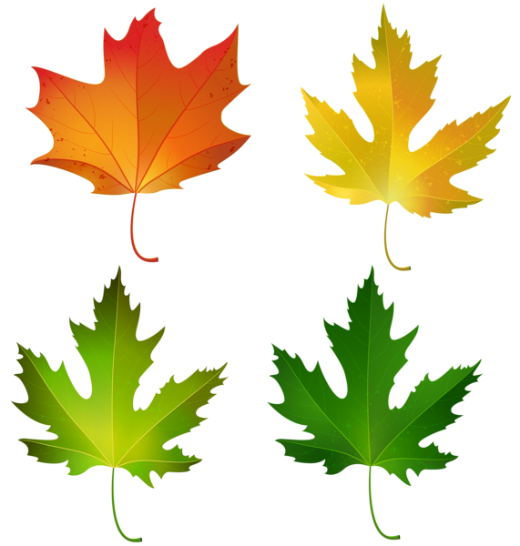 This png image - Fall Maple Leaves Set PNG Decorative Clipart Image, is available for free download