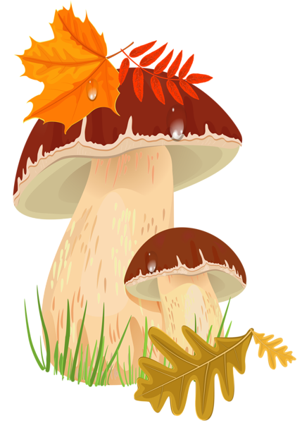 This png image - Fall Mushrooms PNG Clipart Picture, is available for free download