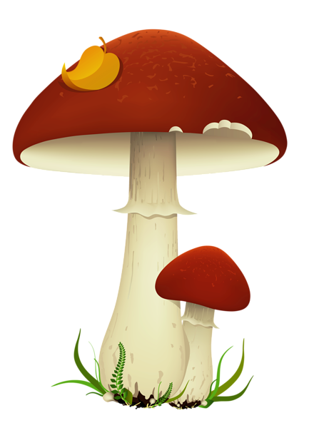 This png image - Fall Mushrooms Transparent PNG Picture, is available for free download