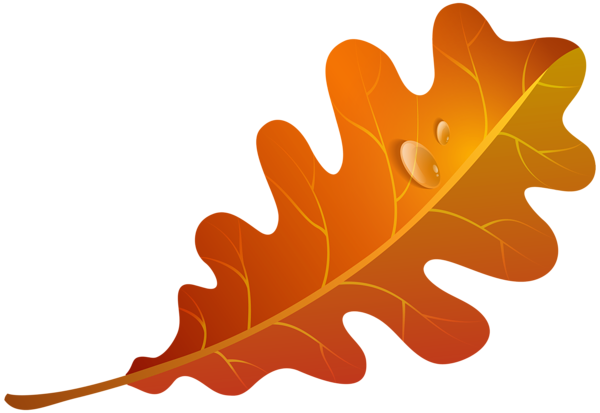 This png image - Fall Orange Leaf PNG Clipart Image, is available for free download