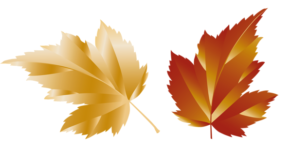 This png image - Fall Transparent Leaf Picture, is available for free download
