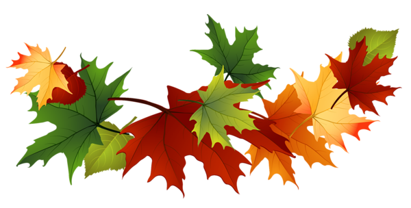 This png image - Fall Transparent Leaves Clipart, is available for free download