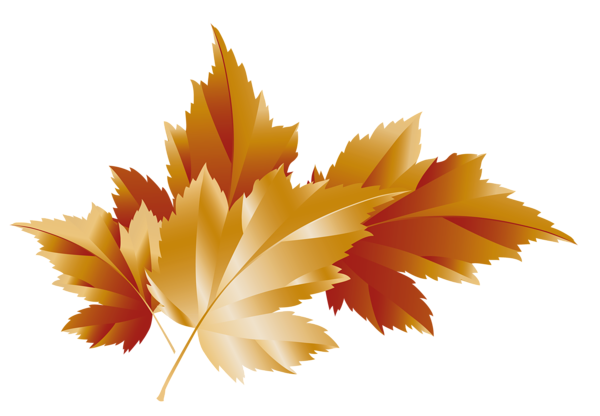 This png image - Fall Transparent Leaves Decor Picture, is available for free download