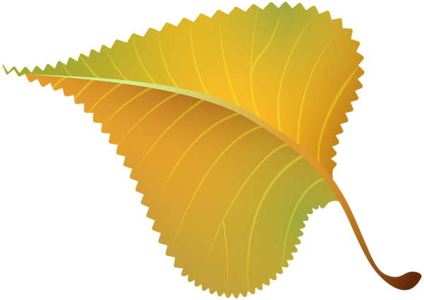 This png image - Fall Yellow Leaf PNG Clipart Image, is available for free download