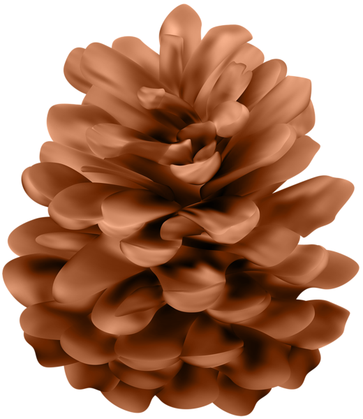 This png image - Fir Cone Transparent Clipart, is available for free download