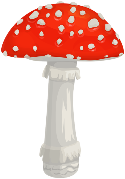 This png image - Fly Agaric Mushroom PNG Clipart, is available for free download