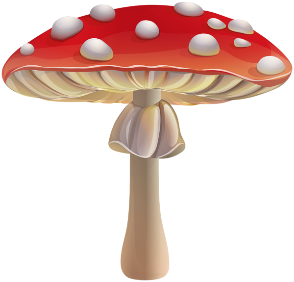 This png image - Flyagaric Mushroom PNG Clipart, is available for free download