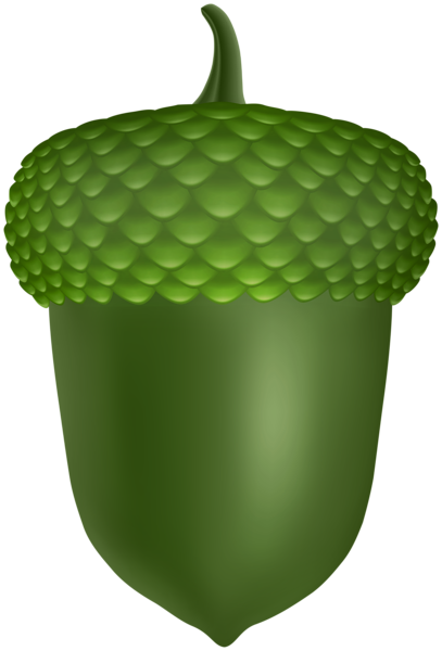 This png image - Green Acorn PNG Clipart, is available for free download