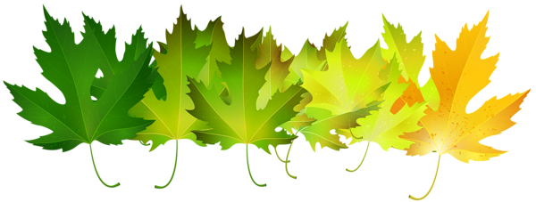 This png image - Green Autumn Leaves Transparent Clip Art Image, is available for free download