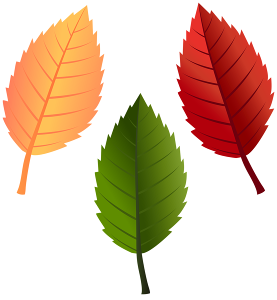 This png image - Leaves Fall Colors PNG Clipart, is available for free download