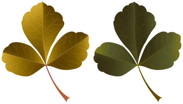 This png image - Leaves Set PNG Clipart, is available for free download