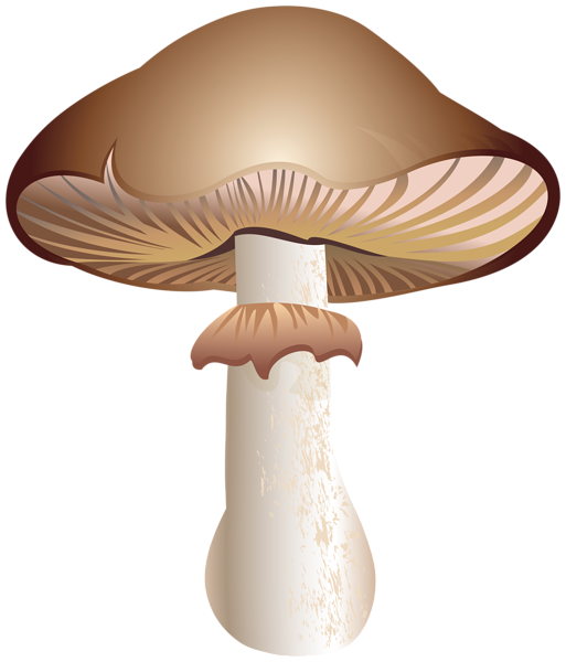 This png image - Mushroom PNG Clipart, is available for free download