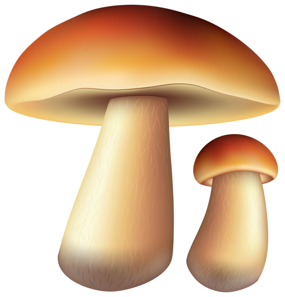 This png image - Mushrooms Free PNG Clip Art Image, is available for free download
