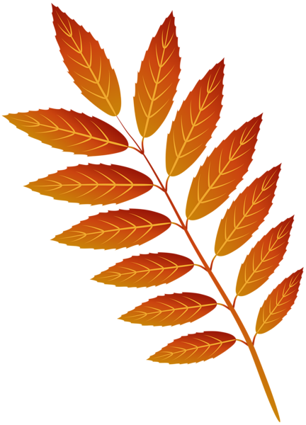 This png image - Orange Autumn Leaf PNG Clip Art Image, is available for free download