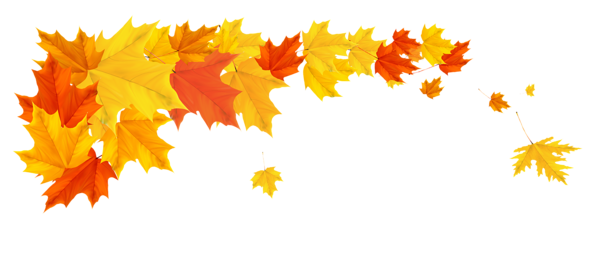 This png image - Orange Fall Leafs PNG Clipart Picture, is available for free download