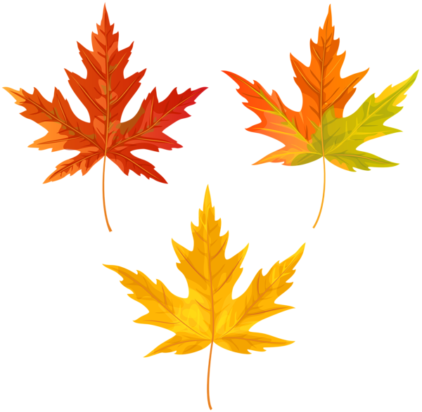 This png image - Orange Fall Leaves PNG Clip Art Image, is available for free download