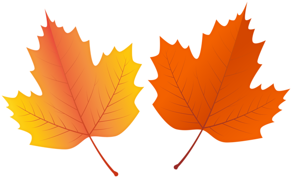 This png image - Orange Fall Leaves PNG Clipart, is available for free download
