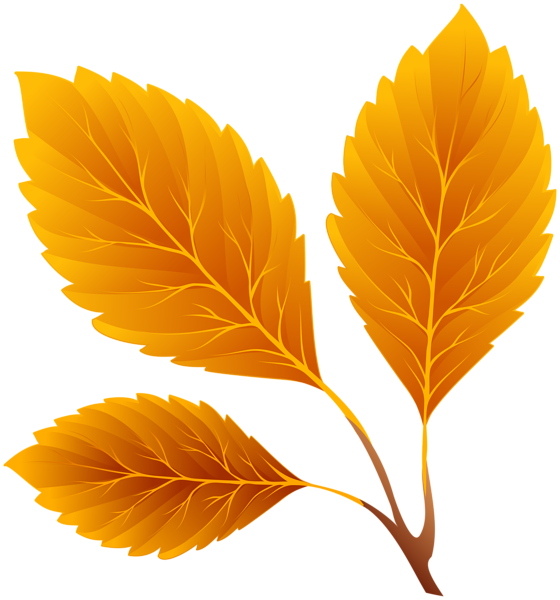 This png image - Orange Fall Leaves PNG Clipart Image, is available for free download