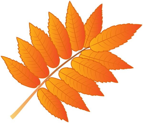 This png image - Orange Leaf PNG Clipart, is available for free download