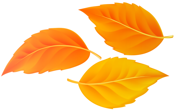 This png image - Orange Leaves PNG Transparent Clipart, is available for free download
