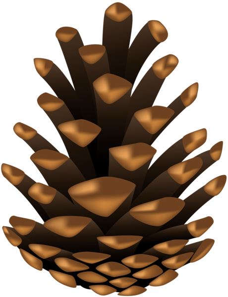 This png image - Pine Cone Clip Art Image, is available for free download