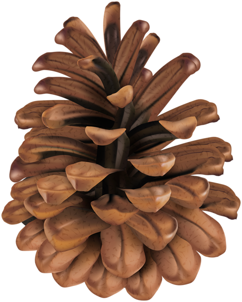 This png image - Pine Cone Clip Art PNG Image, is available for free download